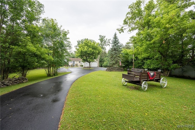 1363 Losson Rd, Cheektowaga, NY 14043 - photo 18