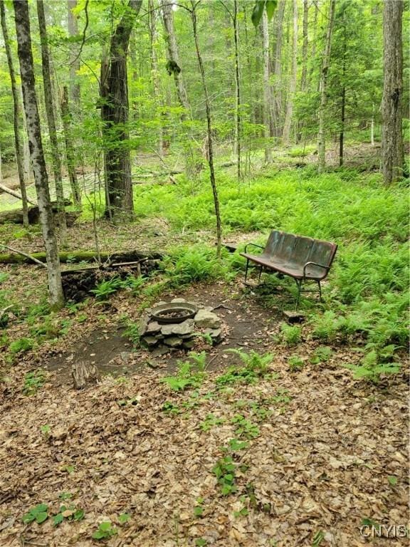 Keppy Carr Rd, Amboy, NY 13493 - photo 8