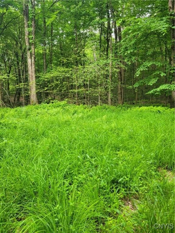 Keppy Carr Rd, Amboy, NY 13493 - photo 9