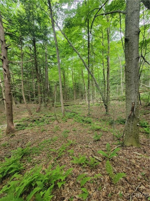 Keppy Carr Rd, Amboy, NY 13493 - photo 10