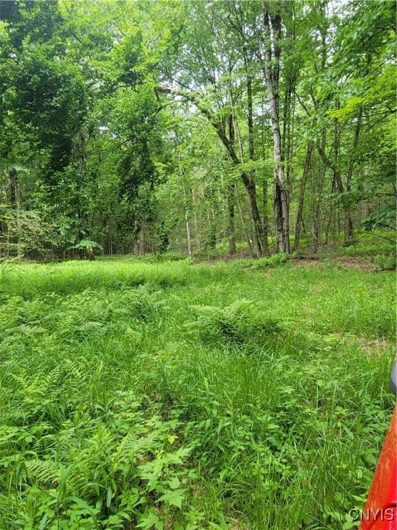 Keppy Carr Rd, Amboy, NY 13493 - photo 11