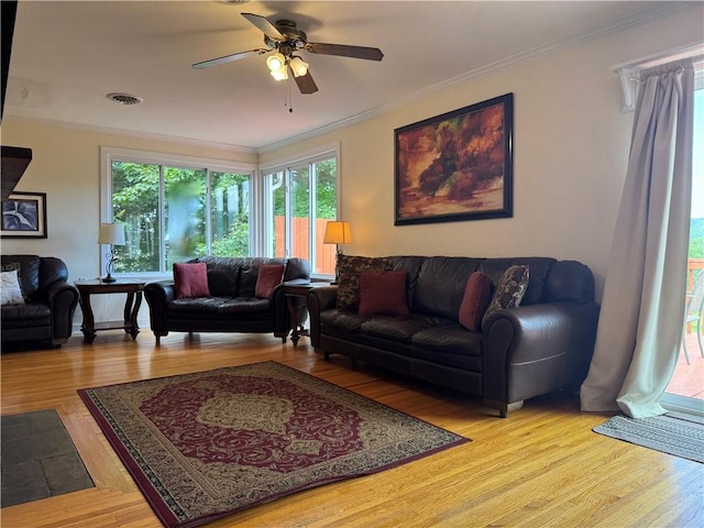 3294 State Highway 28, Milford, NY 13807 - photo 19