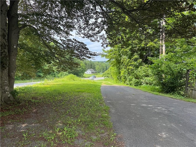 3294 State Highway 28, Milford, NY 13807 - photo 47