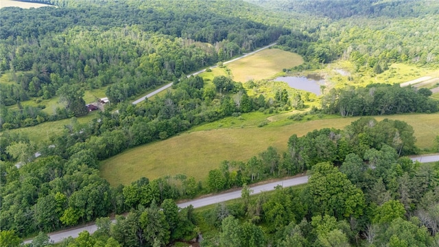 Scoville Rd, Ossian, NY 14437