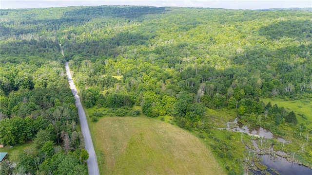 Scoville Rd, Ossian, NY 14437
