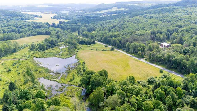 Scoville Rd, Ossian, NY 14437