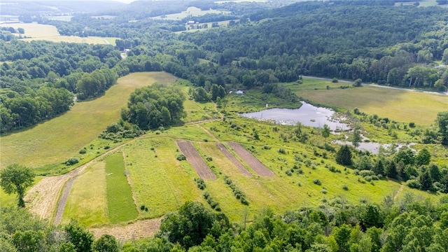 Scoville Rd, Ossian, NY 14437