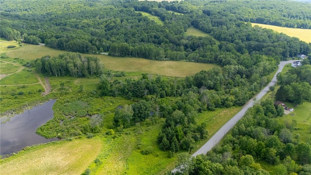 Scoville Rd, Ossian, NY 14437