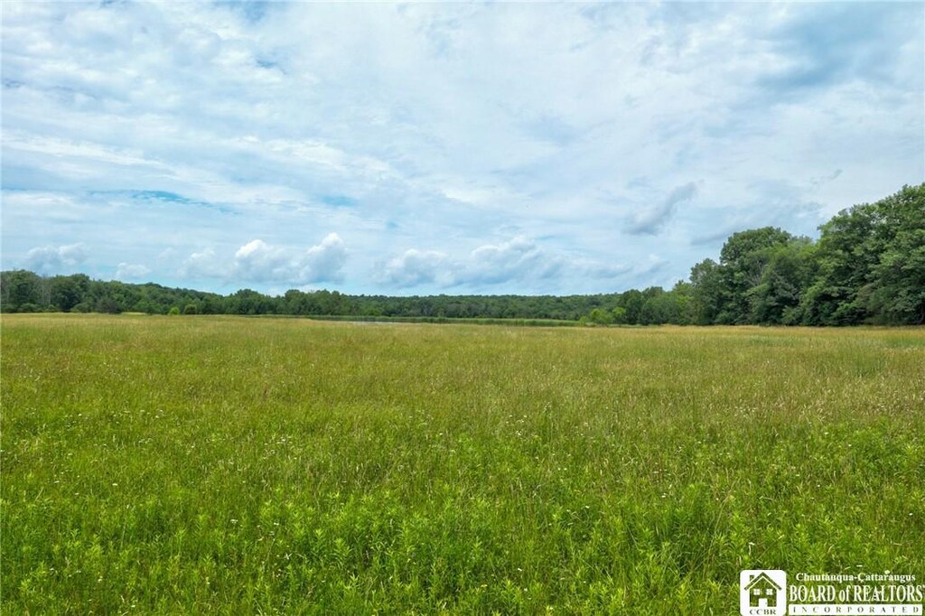 0 Stow Rd, North Harmony, NY 14710 - photo 1