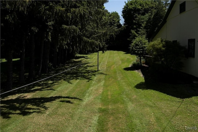 38 N St, Marcellus, NY 13108 - photo 31