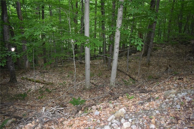 LOT11 Mohawk Dr W, Webb, NY 13420 - photo 3