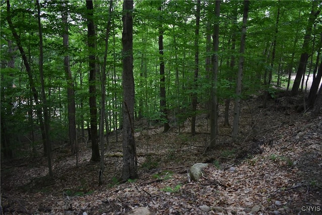 LOT11 Mohawk Dr W, Webb, NY 13420 - photo 5