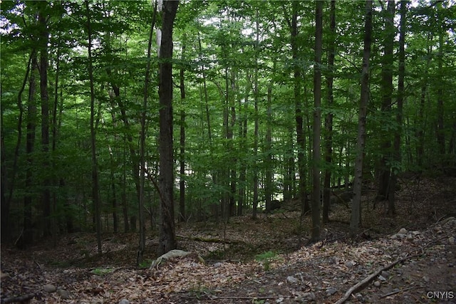 LOT11 Mohawk Dr W, Webb, NY 13420 - photo 6