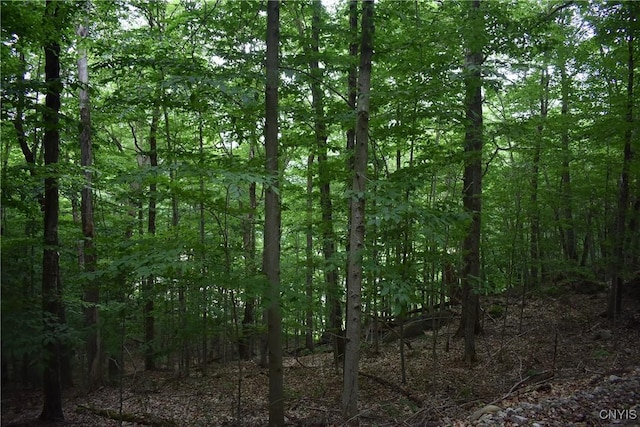 LOT11 Mohawk Dr W, Webb, NY 13420 - photo 7