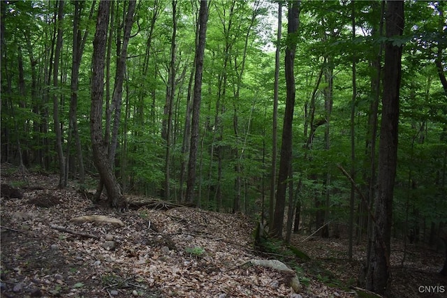 LOT11 Mohawk Dr W, Webb, NY 13420 - photo 2