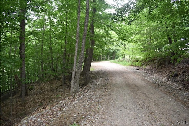 LOT11 Mohawk Dr W, Webb, NY 13420 - photo 1