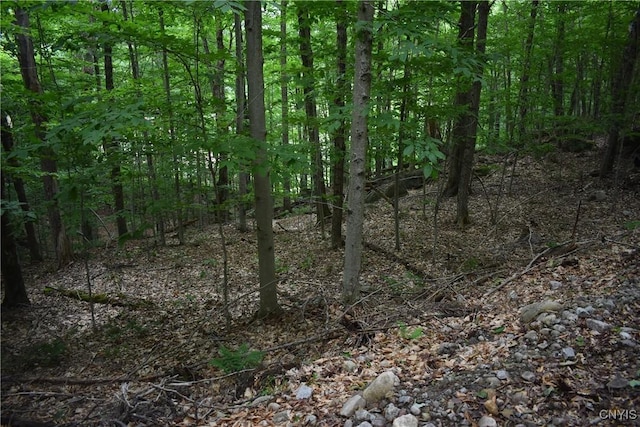 LOT11 Mohawk Dr W, Webb, NY 13420 - photo 8