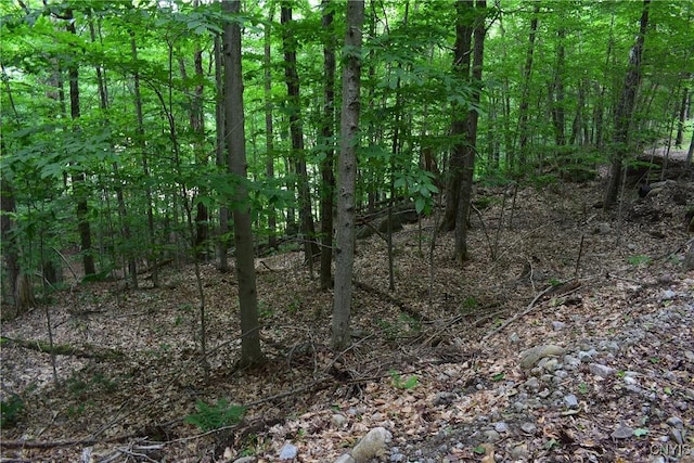 LOT11 Mohawk Dr W, Webb, NY 13420 - photo 9