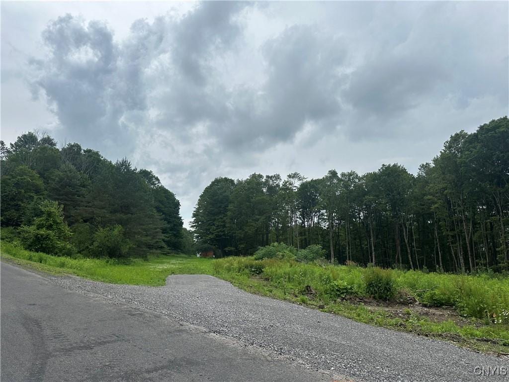 0000 Murphy Rd, Tully, NY 13159 - photo 1