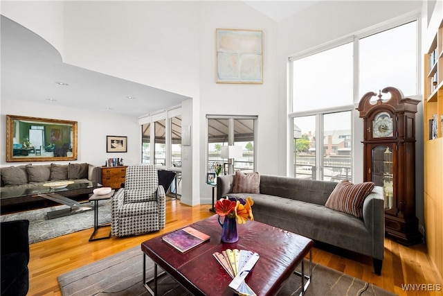 176 Rivermist Dr, Buffalo, NY 14202 - living room with a high ceiling and wood finished floors