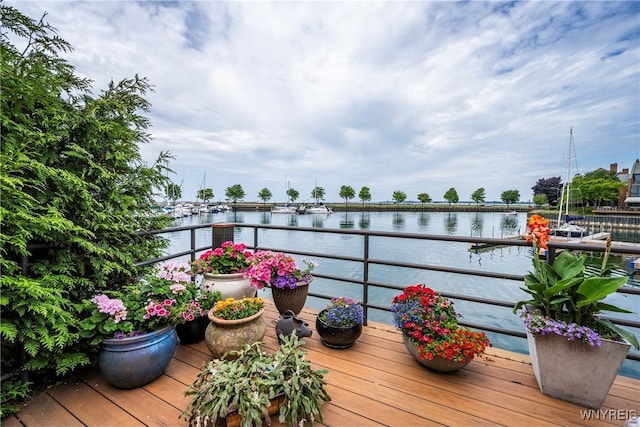 176 Rivermist Dr, Buffalo, NY 14202 - balcony with a water view
