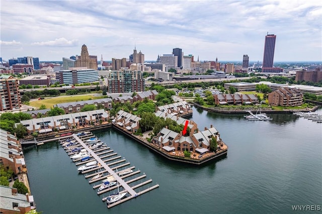 176 Rivermist Dr, Buffalo, NY 14202 - aerial view of skyline
