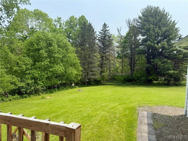 7020 Rte 242 W, Mansfield, NY 14731 - photo 8