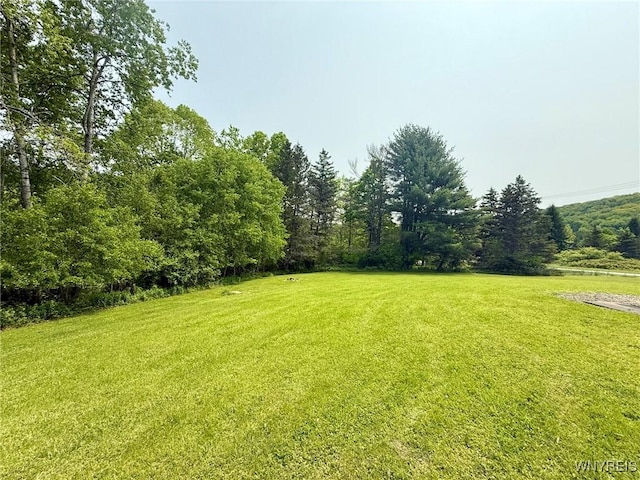 7020 Rte 242 W, Mansfield, NY 14731 - photo 10