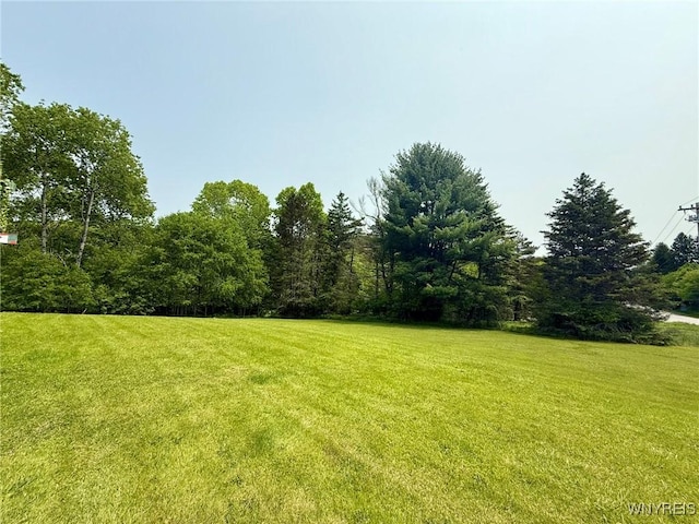 7020 Rte 242 W, Mansfield, NY 14731 - photo 12
