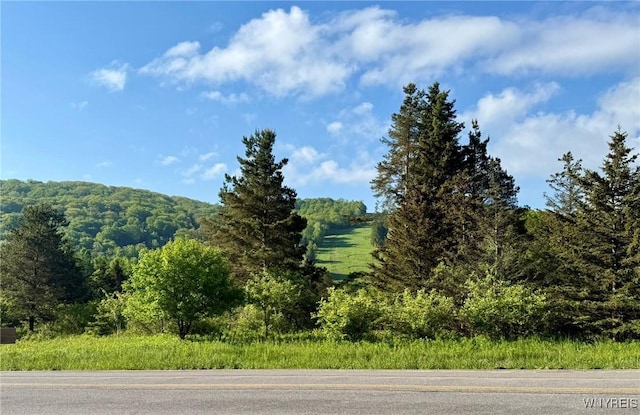 7020 Rte 242 W, Mansfield, NY 14731 - photo 14