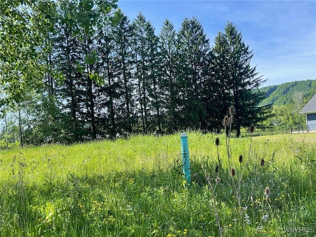 21 Parkside Dr, Ellicottville, NY 14731 - photo 5