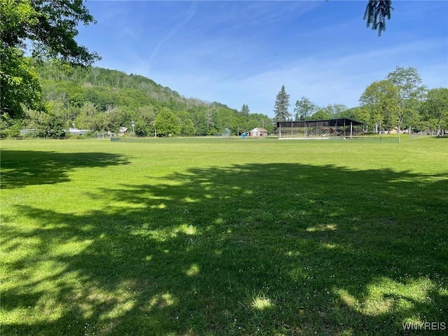 21 Parkside Dr, Ellicottville, NY 14731 - photo 8
