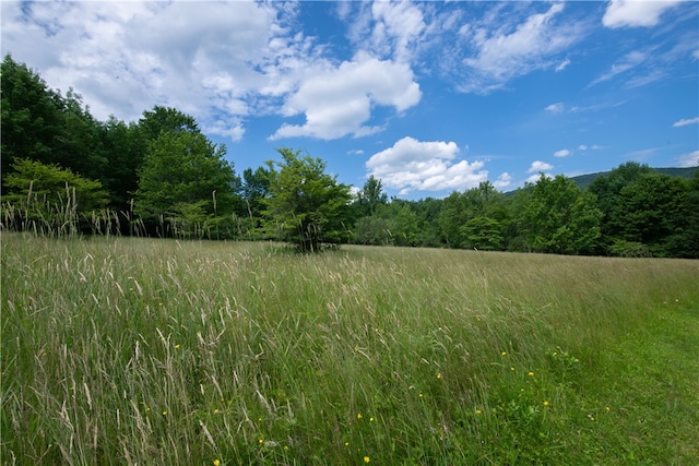 2943 Thompson Hollow Rd, Middletown, NY 12455 - view of wooded area