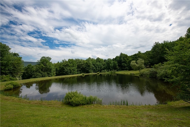 2943 Thompson Hollow Rd, Middletown, NY 12455 - water view with a heavily wooded area