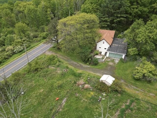 356 Steege Hill Rd, Big Flats, NY 14830 - photo 1