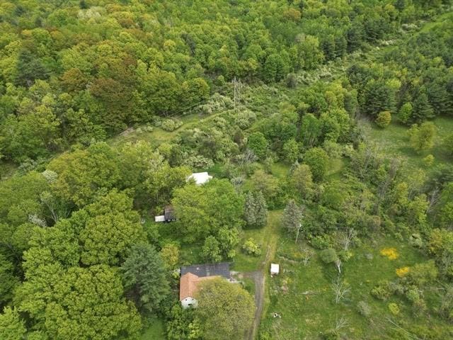 356 Steege Hill Rd, Big Flats, NY 14830 - photo 3