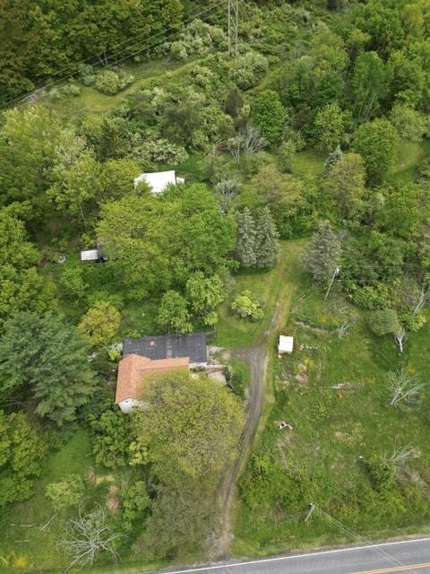 356 Steege Hill Rd, Big Flats, NY 14830 - photo 4