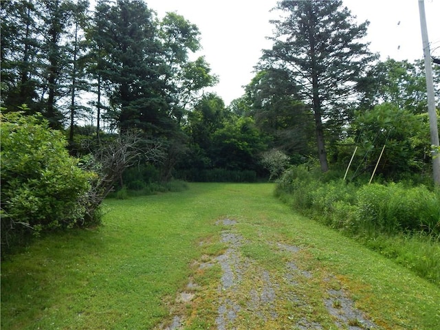 356 Steege Hill Rd, Big Flats, NY 14830 - photo 5