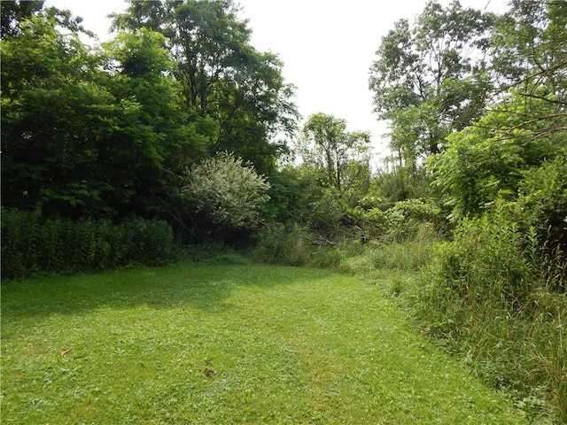 356 Steege Hill Rd, Big Flats, NY 14830 - photo 6