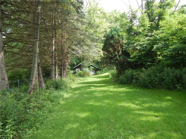 356 Steege Hill Rd, Big Flats, NY 14830 - photo 7