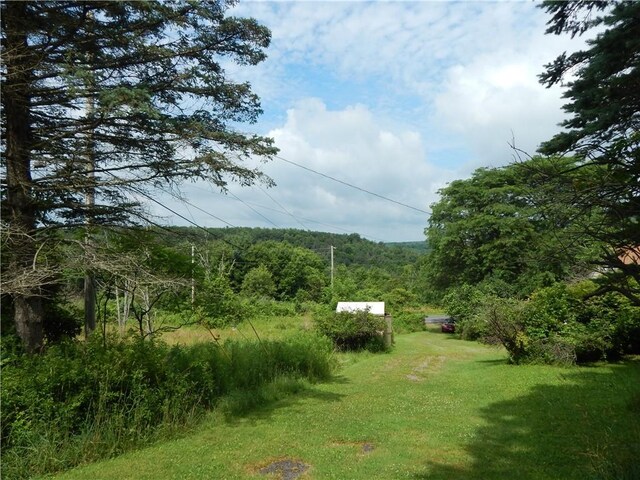 356 Steege Hill Rd, Big Flats, NY 14830 - photo 8
