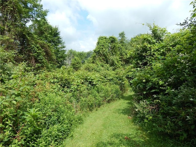 356 Steege Hill Rd, Big Flats, NY 14830 - photo 10