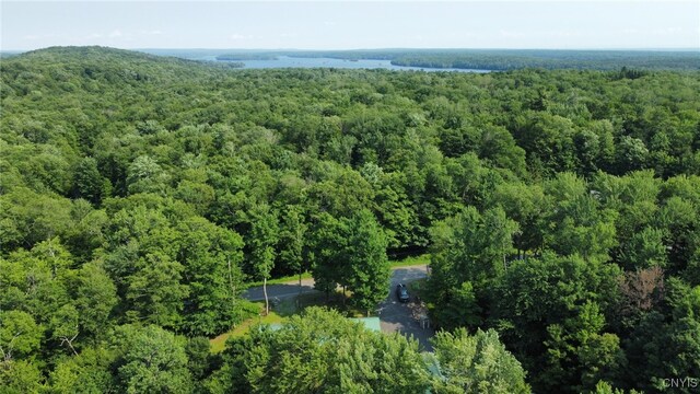 149 Jackson Rd, Orwell, NY 13144 - photo 26