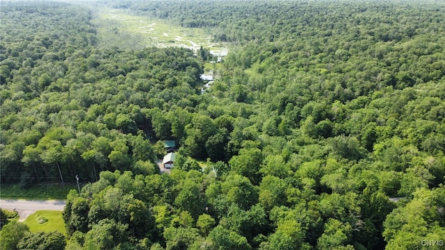 149 Jackson Rd, Orwell, NY 13144 - photo 28