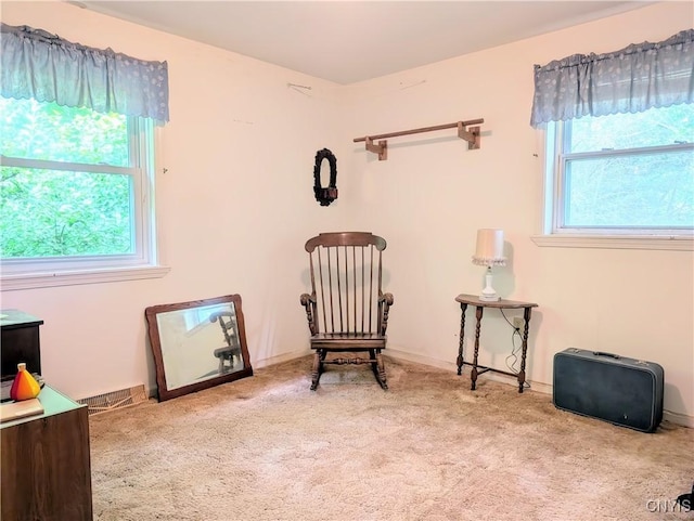 18 Chelsey Cir, Dryden, NY 13068 - photo 18