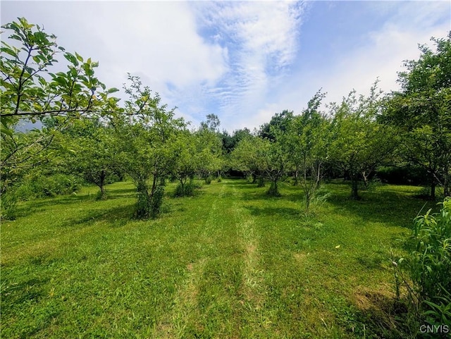 18 Chelsey Cir, Dryden, NY 13068 - photo 22