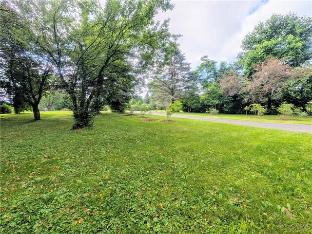18 Chelsey Cir, Dryden, NY 13068 - photo 5