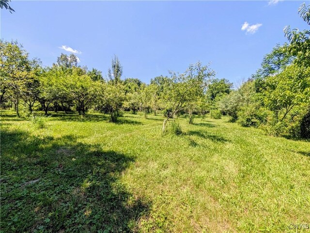 18 Chelsey Cir, Dryden, NY 13068 - photo 26