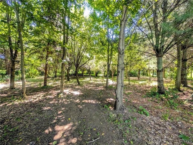 18 Chelsey Cir, Dryden, NY 13068 - photo 27