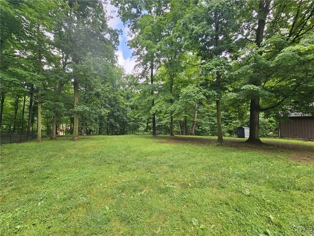 7179 Farnham Rd, Lysander, NY 13112 - photo 8